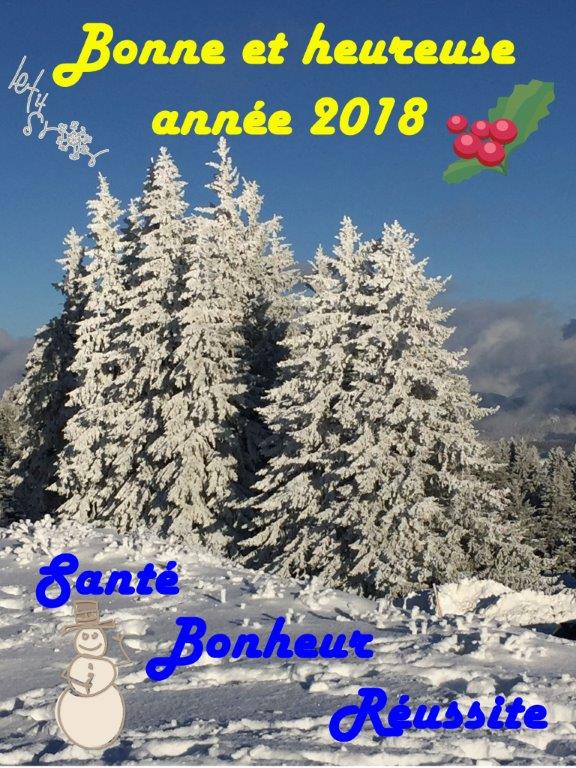 BONNE ANNEE 2018 ! BONNE ANNEE 2018 !